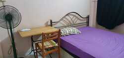Blk 236 Tampines Street 21 (Tampines), HDB 3 Rooms #281348261